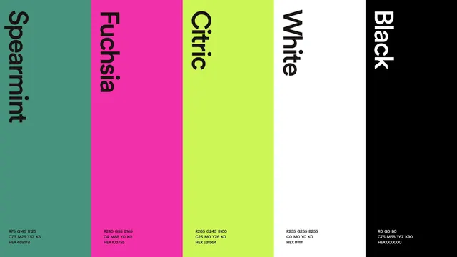 Color Palette Identity System