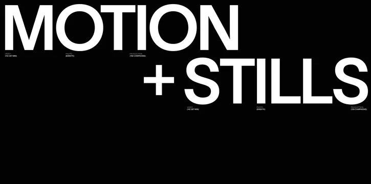 Motion + Stills Wordmark