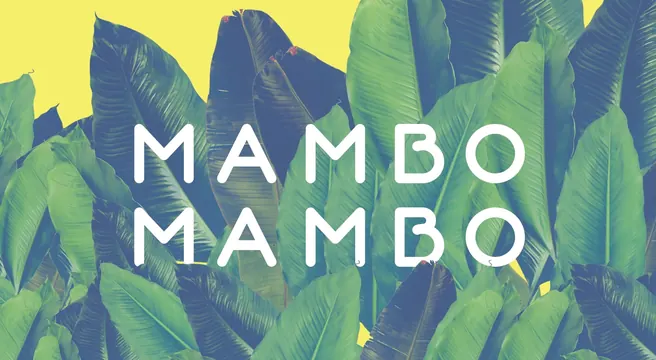 Mambo Mambo Wordmark, maximalist, organic, vibrant