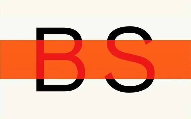 BS Wordmark
