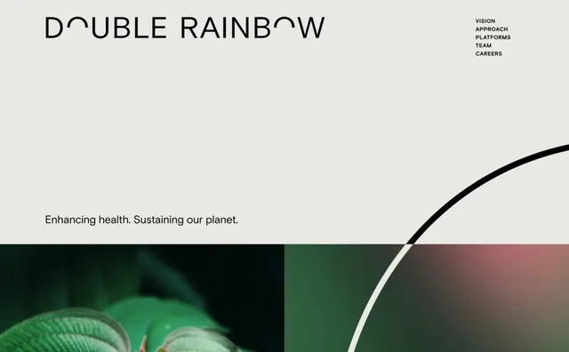 Double Rainbow Brand Identity