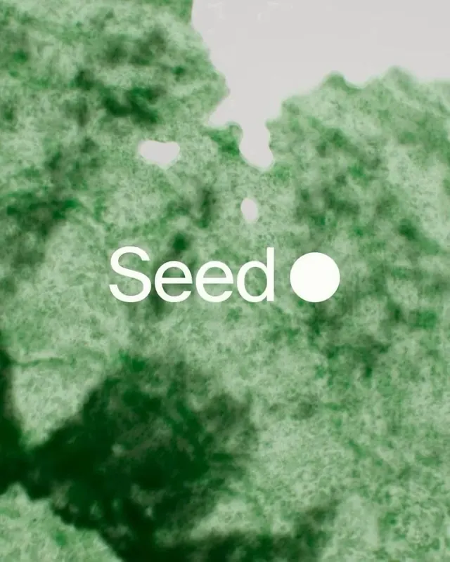 Seed wordmark logo, organic, minimal, light