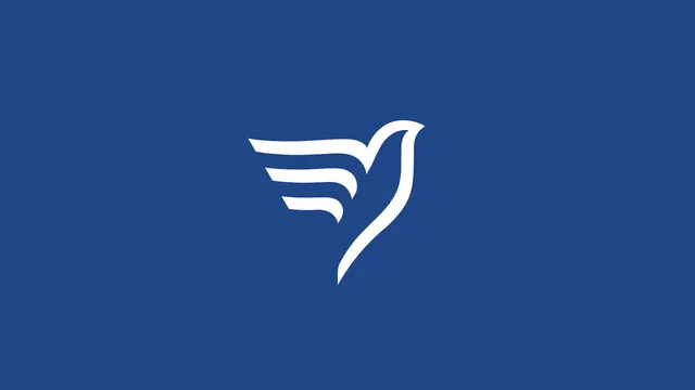 Stylized Bird Logo