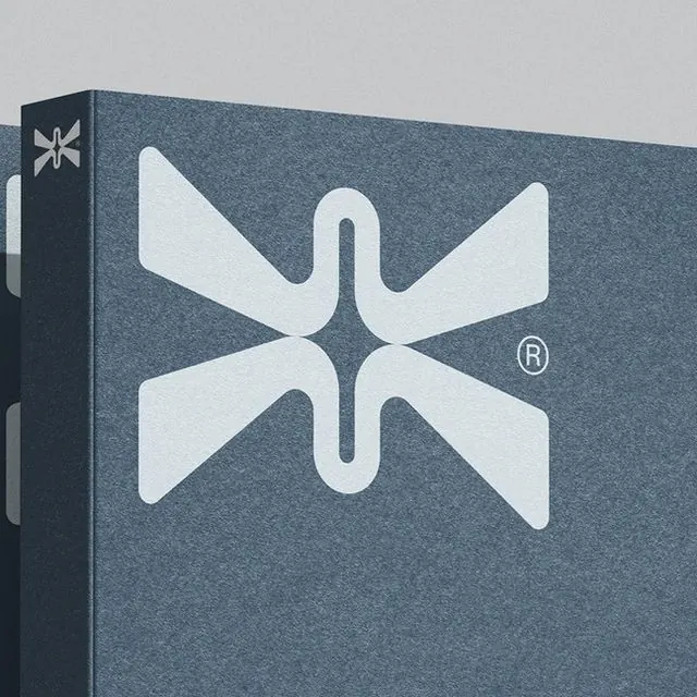 Four-pointed star logo on slate blue textured packaging, minimal, geometric, light