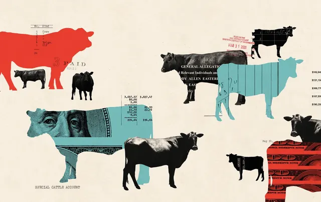 Vintage cattle and finance infographic, retro, minimal, dark