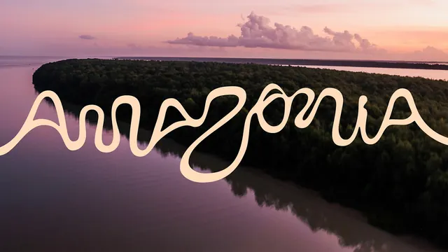 Amazonia looping river logotype over sunset aerial, photographic, organic, warm