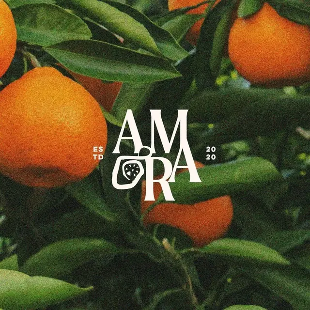 Amora logo, geometric, light
