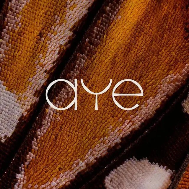 Aye logo, minimal, geometric, light