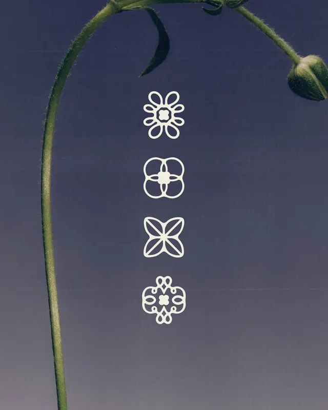 Four botanical line-art icon set, minimal, line-art, dark