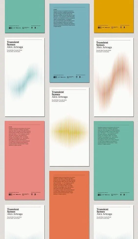 Transient Senses publication system with color-blocked covers, minimal, editorial, cool