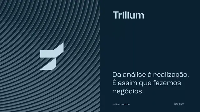 Trilium fintech identity with diagonal-stripe pattern, minimal, corporate-clean, light