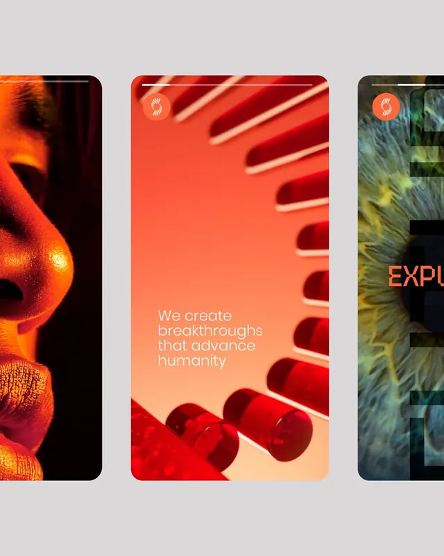 Warm-toned brand identity card triptych, photographic, editorial, warm