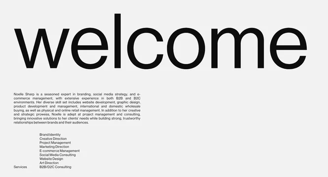 Consultant type specimen with service list, minimal, corporate-clean, dark