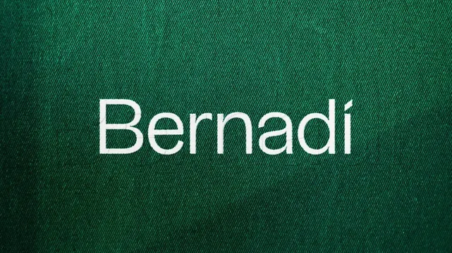 Bernadi logo, minimal, luxury, light
