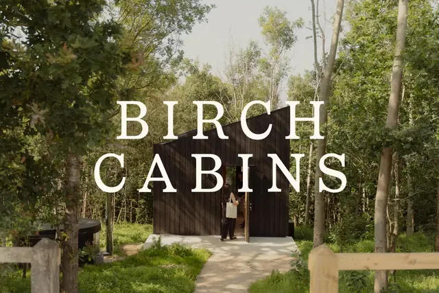 Birch Cabins logo, luxury, light