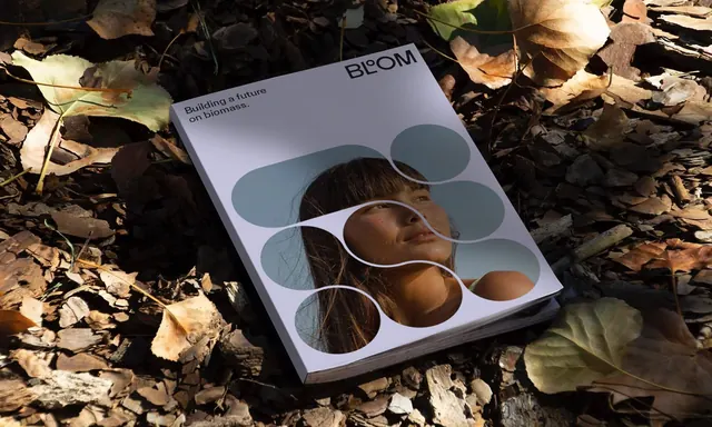 Bloom brochure cover with pebble-shape photo mask, editorial, organic, muted