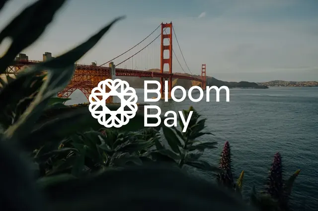 Bloom Bay logo, geometric, minimal, light