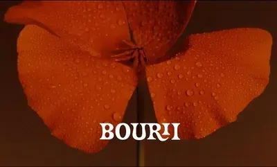 Bourii logo, minimal, light