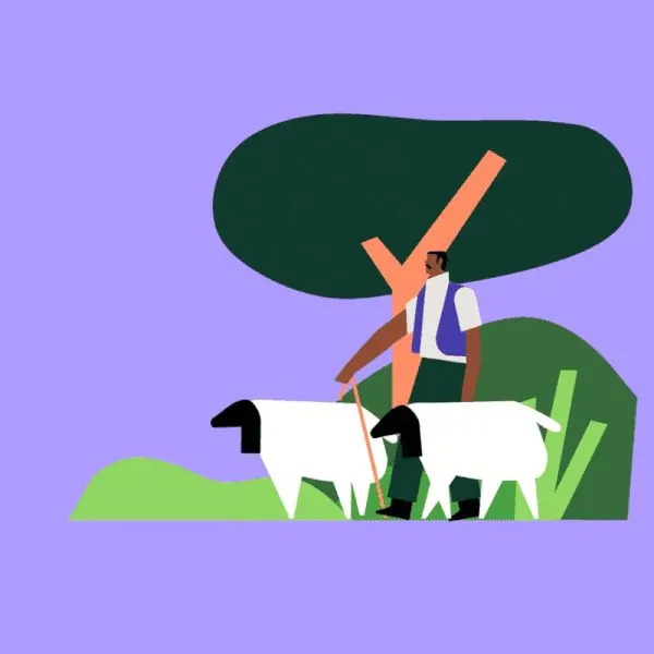 Shepherd and sheep pastoral illustration, flat, illustrated, light