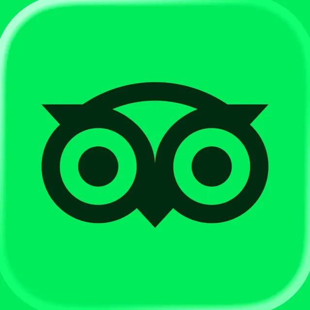 Tripadvisor, minimal, vibrant