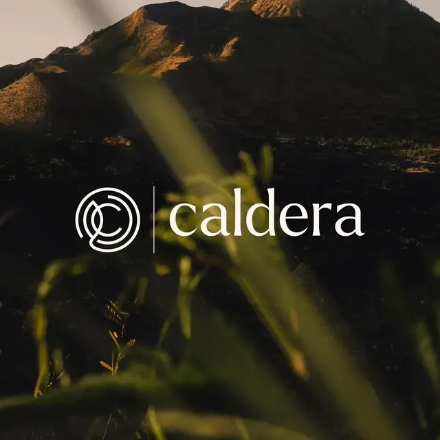 Caldera logo, geometric, minimal, light