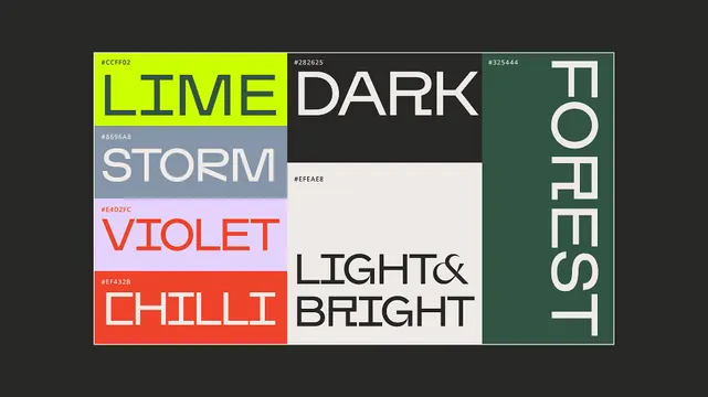Minimal swiss identity system, minimal, swiss, dark