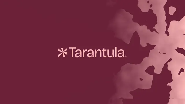 Tarantula mark on organic texture, abstract, minimal, dark