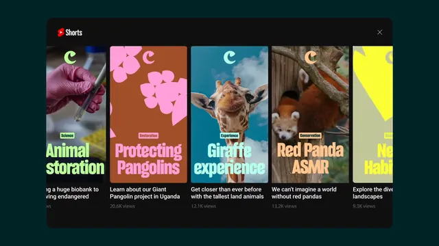 Dark-mode carousel with nature documentary cards, dark-mode, minimal, dark