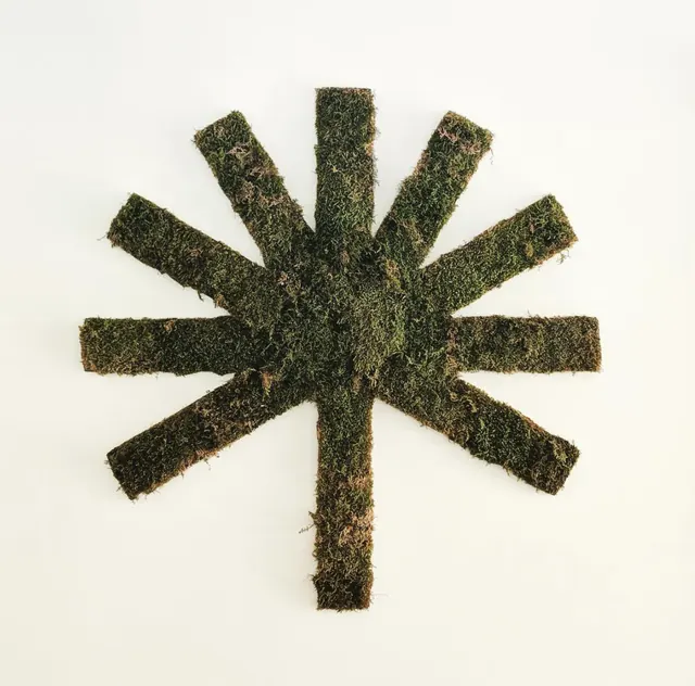 Moss asterisk mark, organic, minimal, earthy