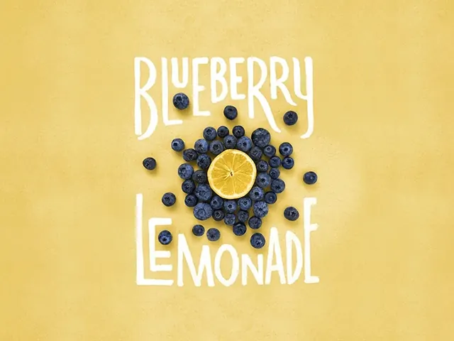 Blueberry Lemonade Branding, playful, organic, warm