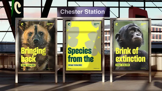 Chester Zoo station poster trio, photographic, typographic, vibrant