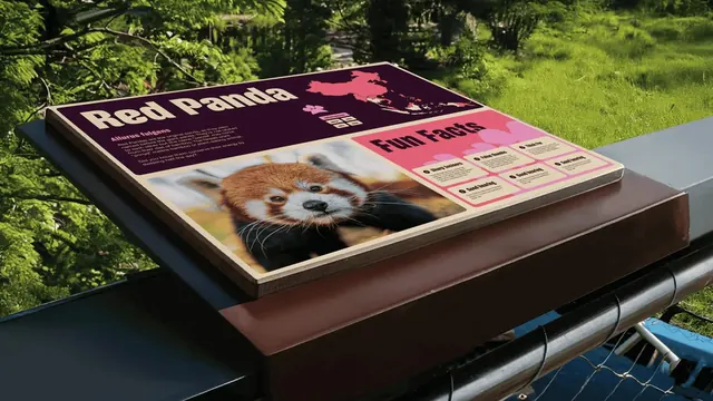 Chester Zoo red panda interpretation panel, infographic, flat, vibrant