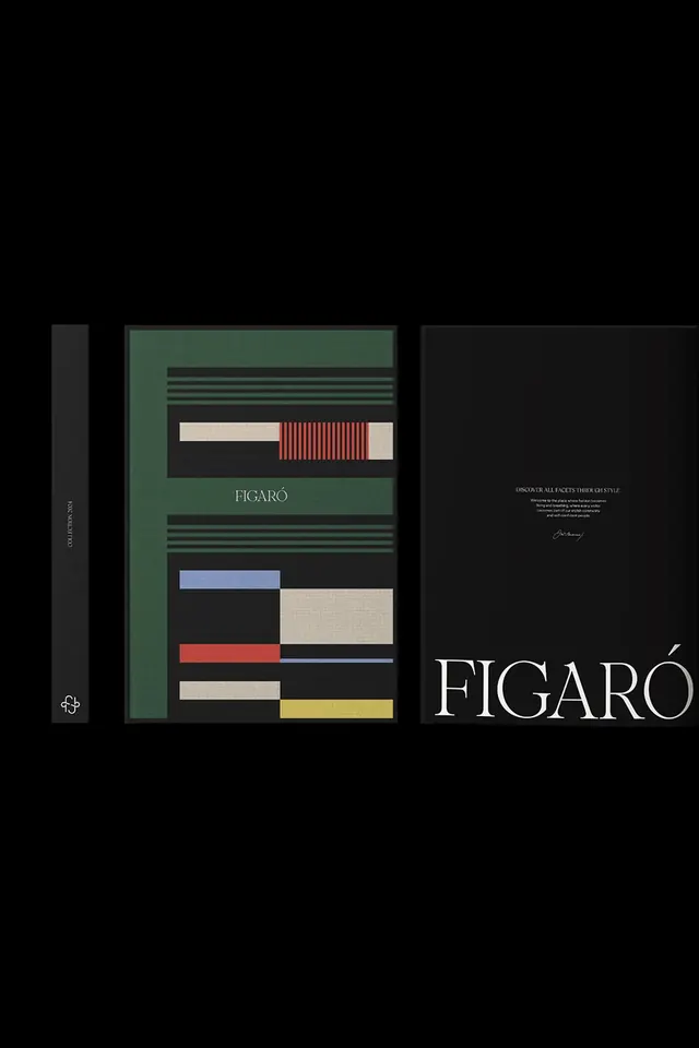 Figaro editorial identity system, editorial, minimal, dark
