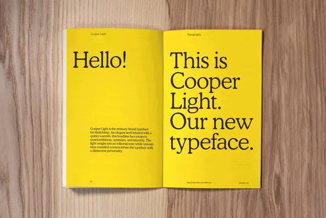 Cooper Light typeface book specimen, minimal, editorial, light