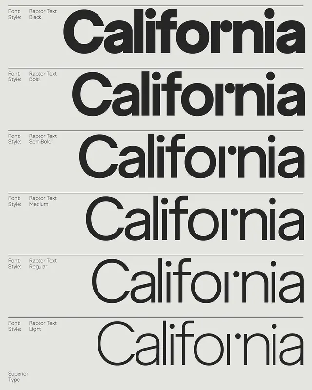 Raptor Text weight specimen, minimal, geometric, dark