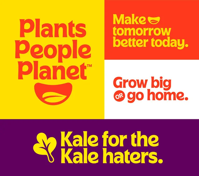 Four-panel social campaign with bold color blocking, minimal, playful, vibrant