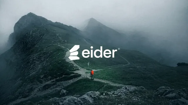 Eider logo, minimal, geometric, light