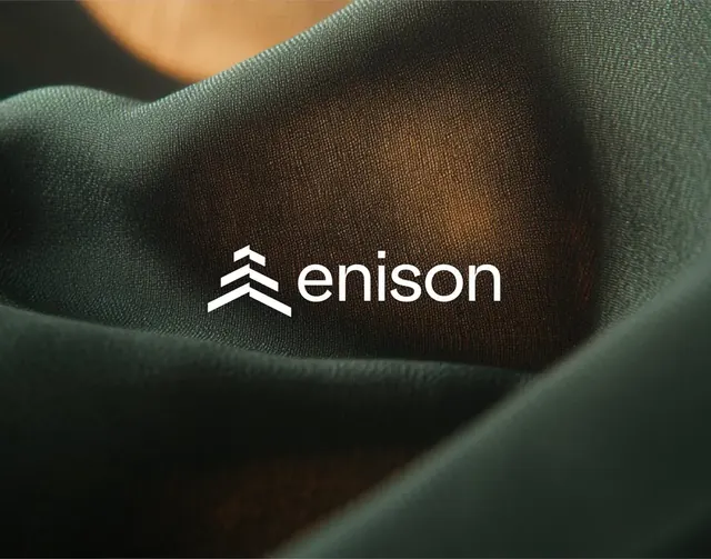 Enison logo, geometric, minimal, light
