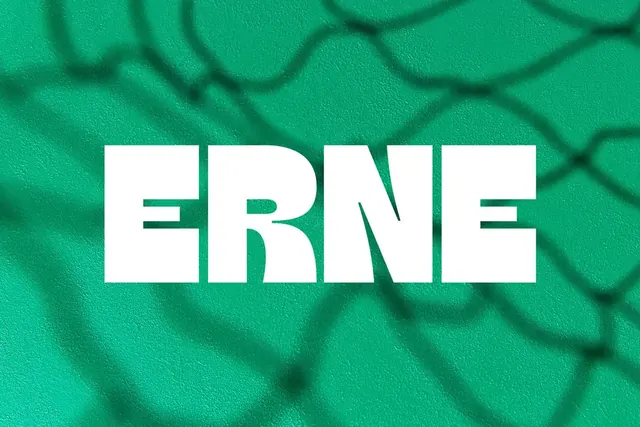 Erne logo, geometric, minimal, light