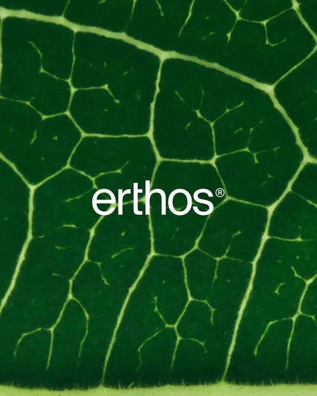 Erthos logo, minimal, line-art, light