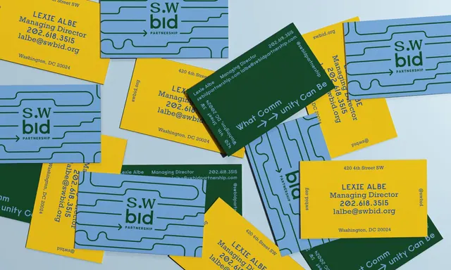 SWBID business cards scattered flat lay, flat, geometric, vibrant