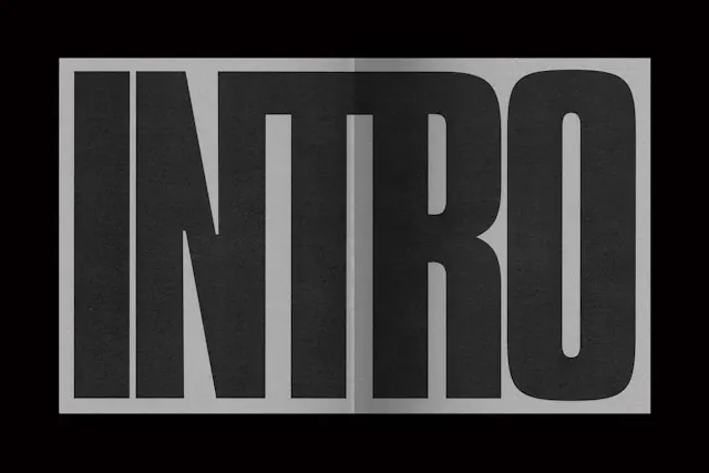INTRO Wordmark