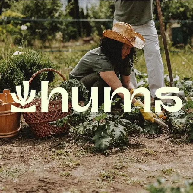 Hums logo, geometric, minimal, light