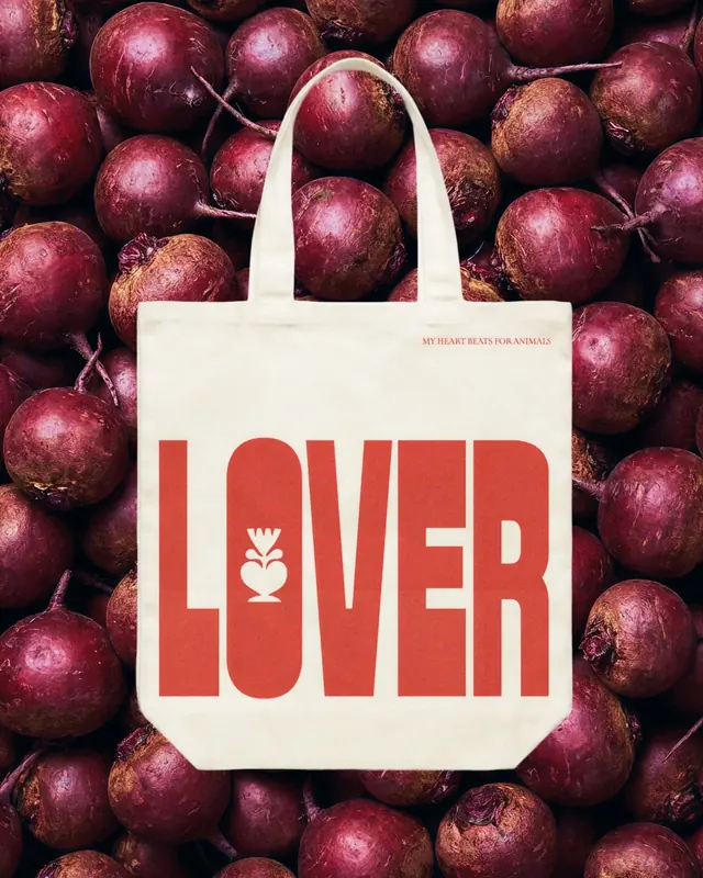 Heartbeet visual identity system (slide 10)