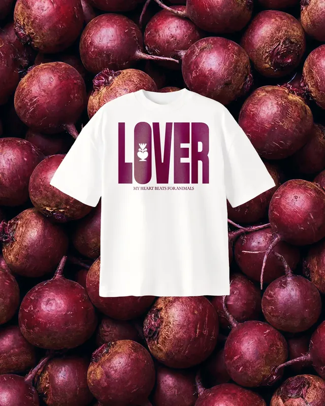 Heartbeet visual identity system (slide 12)