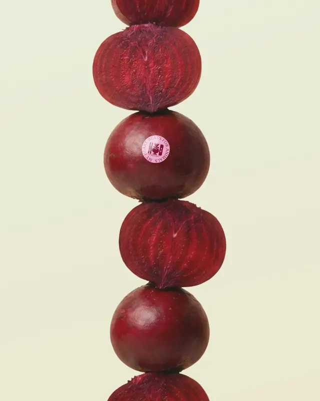 Heartbeet visual identity system (slide 15)