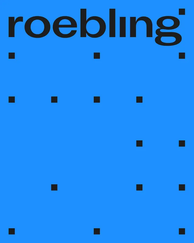 Roebling industrial engineering identity by Daniil Sergeev (slide 5), technical, minimal, light