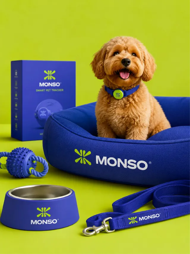 MONSO pet tracker brand identity system (slide 4)