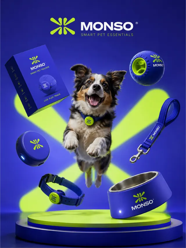 MONSO pet tracker brand identity system (slide 8)