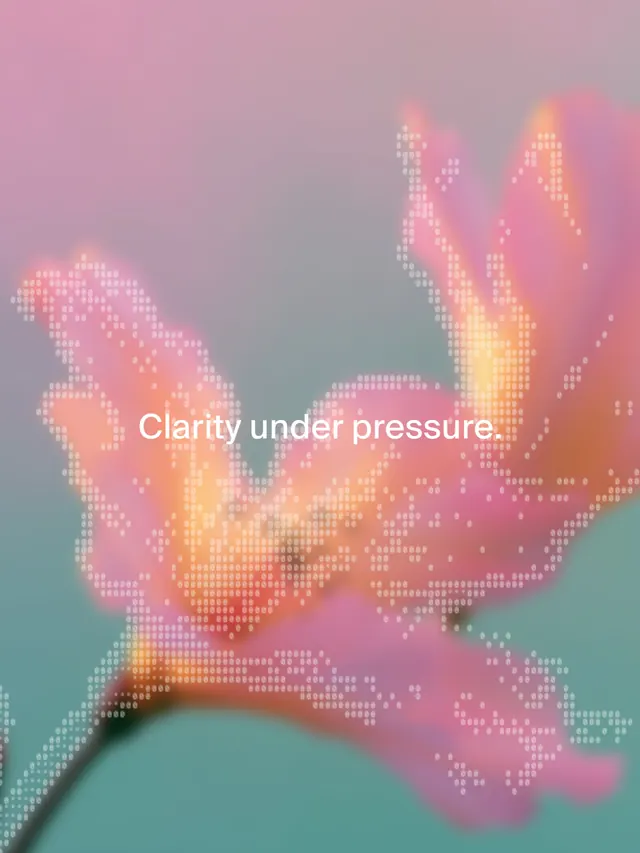 Claryx cybersecurity brand identity (slide 4)
